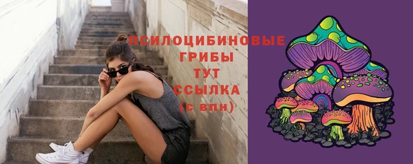 прущие крисы Алексеевка