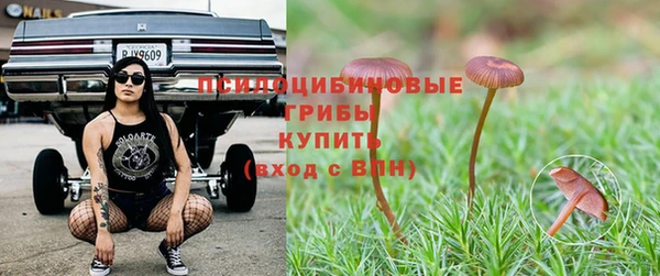 прущие крисы Алексеевка