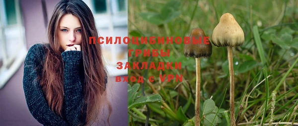 крисы Алзамай