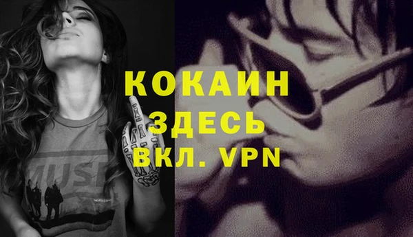 крисы Алзамай