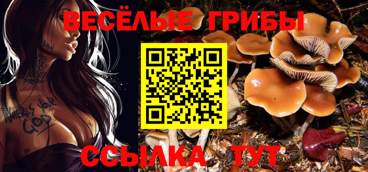 Псилоцибиновые грибы прущие грибы  Вход с VPN  Тулун 